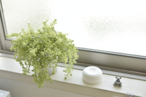 グリーンとお気に入りのアロマでリラックス